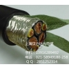 高柔性雙變頻電機(jī)屏蔽電纜