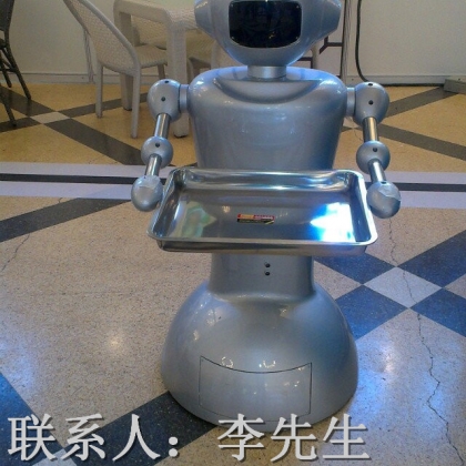 餐飲服務(wù)機(jī)器人、機(jī)器人服務(wù)員