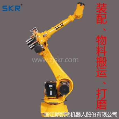 SR50 工業(yè)機(jī)器人 多關(guān)節(jié) 搬運(yùn)機(jī)器人
