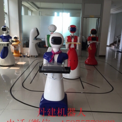 丹建機(jī)器人公司，湖南服務(wù)機(jī)器人，湖北工業(yè)機(jī)器人
