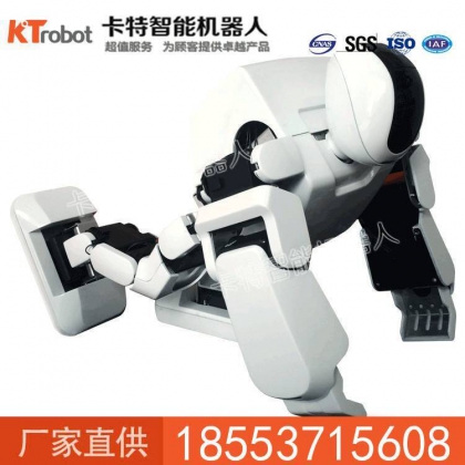 智能互動機器人價格，智能互動機器人廠家