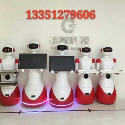 黑龍江硅智機(jī)器人公司是以哈工大技術(shù)為核心的自主研發(fā)型廠家