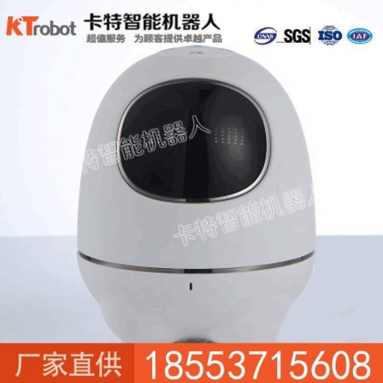 阿爾法蛋機器人廠家，阿爾法蛋機器人價格