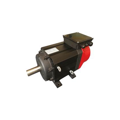 低速大扭矩電機(jī)_750轉(zhuǎn)