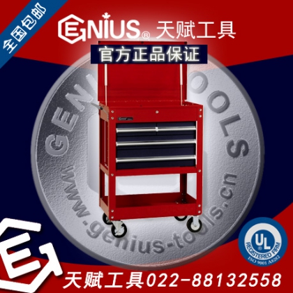 加拿大天賦工具4抽屜多用途工具車TS-764 022-88132558