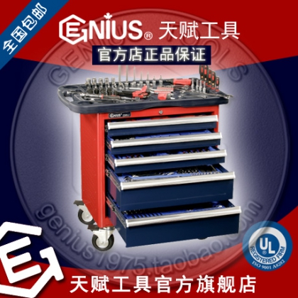 加拿大天賦工具M(jìn)S-236TS 236件套公制綜合工具配工具車Genius 022-88132558
