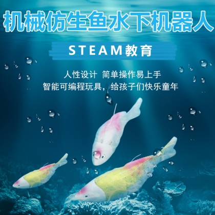 水下機(jī)器人 仿生機(jī)器魚 編程 娛樂 教學(xué) 語音益智3D