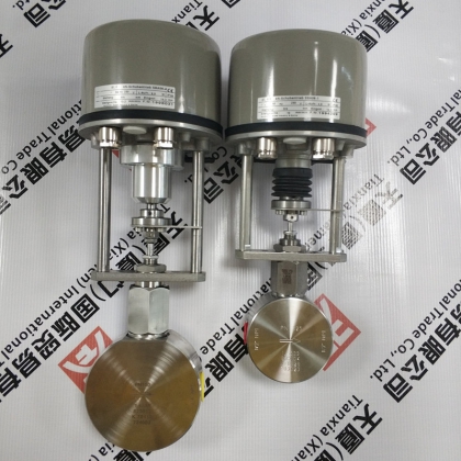 德國Badger控制閥3/4" NPT 1.4539