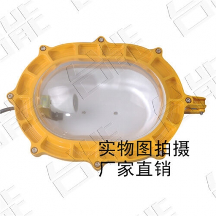 80wled防爆泛光燈 led防爆燈