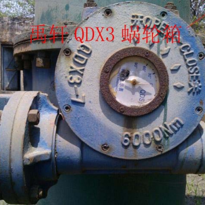 QDX3電動(dòng)軸連接蝸輪箱 輸出力矩Nm8000U閥門執(zhí)行器
