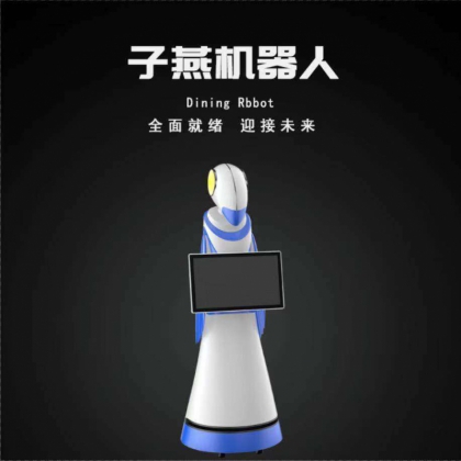 廠家直銷迎賓機(jī)講解機(jī)器人智能導(dǎo)購帶領(lǐng)機(jī)器人可定制外觀優(yōu)美