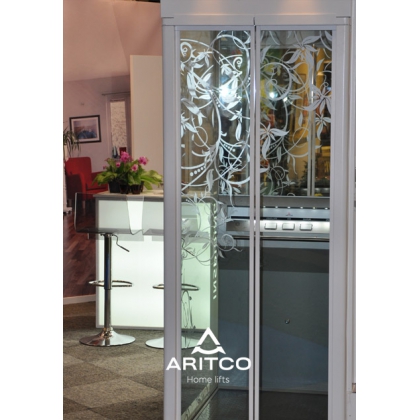 小型別墅家用電梯-Aritco4000
