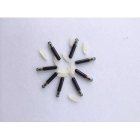1.4X8mm寵物芯片 動(dòng)物芯片 進(jìn)口寵物芯片 魚類PIT標(biāo)記