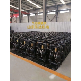 BQG250/0.3氣動隔膜泵