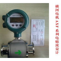 日本橫河電磁渦街流量計儀器儀表DYAXWAXFSFSE