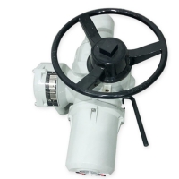 IQM10F10B4羅托克 ROTORK電動(dòng)執(zhí)行機(jī)構(gòu)