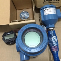 羅斯蒙特O1CN01463nqI28pLiBBVQOi_!!
