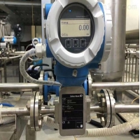 E+H插入式電磁流量計(jì)DTI200-A12A1ADN25-