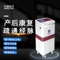 低頻產后治療儀