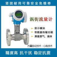 E+H F 200 渦輪蒸汽液體流量計(jì) 量計(jì)數(shù)顯高精度傳感器