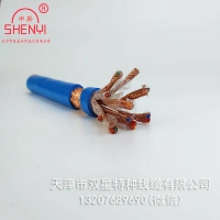 天津線纜廠生產(chǎn)本安阻燃計(jì)算機(jī)線纜ZR-IA-DJYPVRP