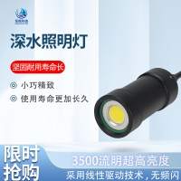 水下專用照明燈 深水補光燈防水深度200m高亮度工業(yè)級