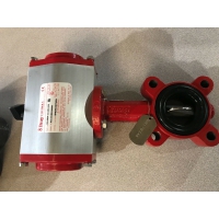 美國博雷蝶閥S30 DN150電動對夾蝶閥