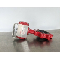 美國博雷蝶閥S30 DN150電動(dòng)對(duì)夾蝶閥