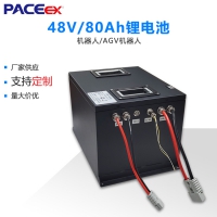 packEV低速車倉儲AGV叉車穿梭車RGV磷酸鐵鋰電池