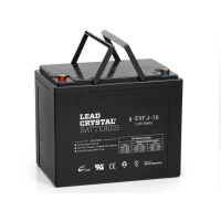 德國LeadCrysta動力電池6-EVFJ系列（12V）