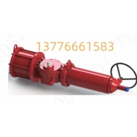 ASKD2KSR-400-TH01SD氣動(dòng)執(zhí)行器