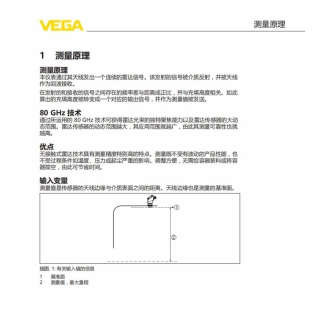 VEGAPULS 31測(cè)量原理雷達(dá)液位計(jì)