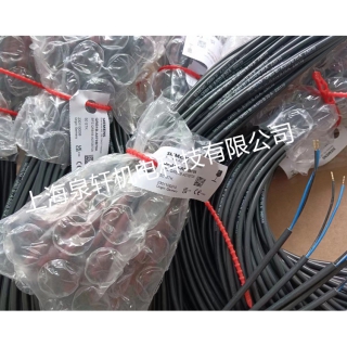 QRB1火焰檢測(cè)器德國(guó)西門子電眼