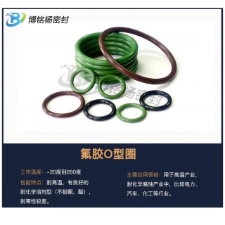 FDA食品級(jí)異型件SIL/EPDM/FKM/VITON密封圈