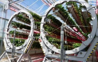 1000磅重的輪子和機(jī)器人正在種植戴森草莓